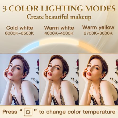 Vanity Mirror with Lights, 12.6"×15" LED Makeup Mirror, Touch Control Dimmable D52089