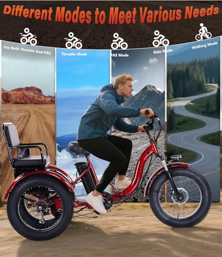 Adult Electric Tricycle 3 Wheel Bike for Adults A10327