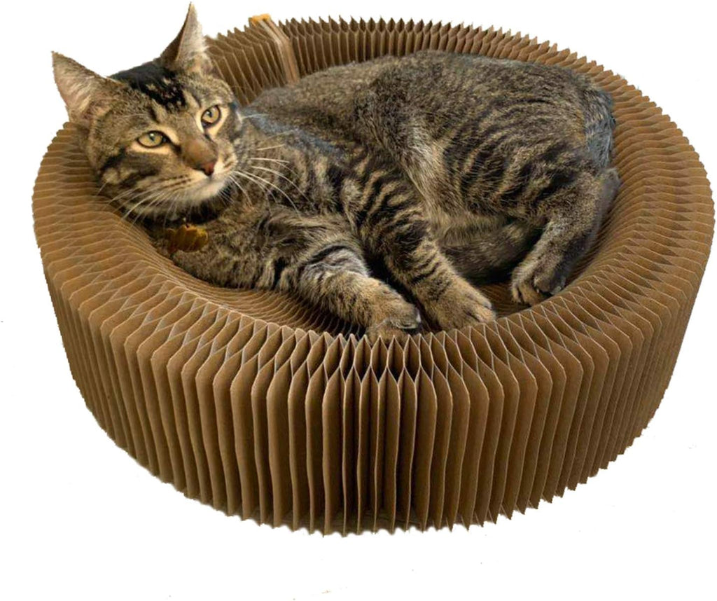 Cat Scratcher Lounge Bed - Collapsible Round Shape for Big cat