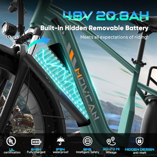 EB60 26" Fat Tire Electric Bike for Adults, 2000W Motor, 48V 20.8AH Battery R225