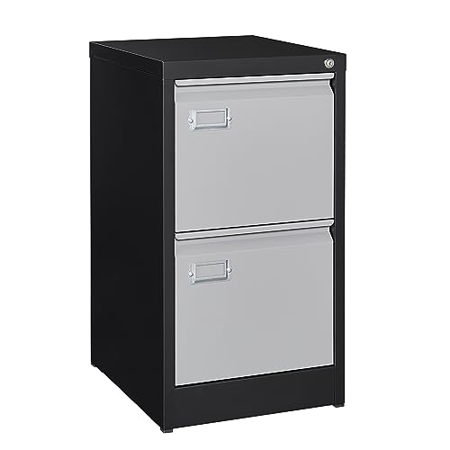 2 Drawer Vertical File Cabinet with Lock for Letter Size, Steel Office Storage Y50014