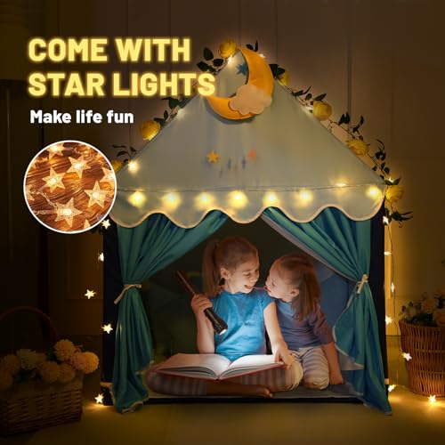 Wilwolfer Kid Tent with Mat and Star Lights - Indoor Playhouse for Toddlers and Girls (Pink) N411519