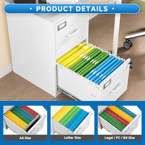 2 Drawer Vertical File Cabinet with Lock for Letter Size, Steel Office Storage Y50014