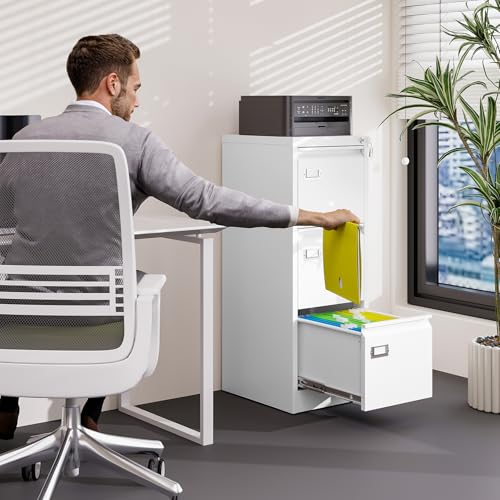 2 Drawer Vertical File Cabinet with Lock for Letter Size, Steel Office Storage Y50014