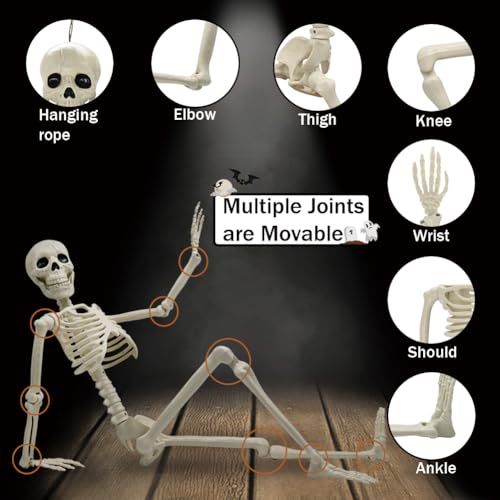 UMEELR 5.9FT Poseable Life Size Skeleton for Halloween Decoration B873000