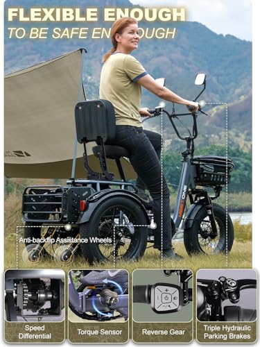 Folding Electric Tricycle for Adults, 1200W, 450lbs Load, UL Certified N810
