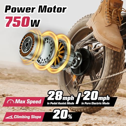 E2/K20 Electric Bike for Adults, 48V 13Ah/15Ah, 750/1000W Peak, 20"/26" Fat Tires Z839544