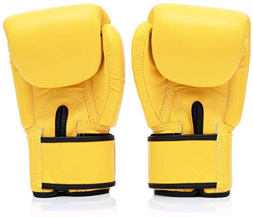 Fairtex BGV1 Muay Thai Boxing Training Sparring Gloves U66399