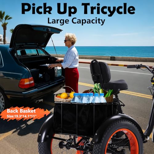 Electric Tricycle for Adults, 750W, Folding Fat Tire, 48V Removable Battery O76597