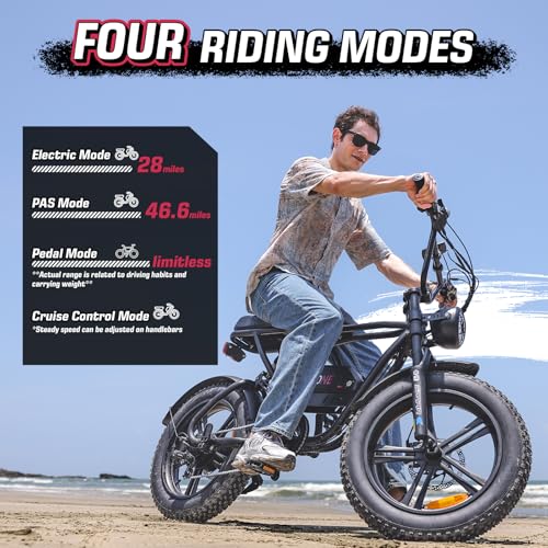 E2/K20 Electric Bike for Adults, 48V 13Ah/15Ah, 750/1000W Peak, 20"/26" Fat Tires Z839544