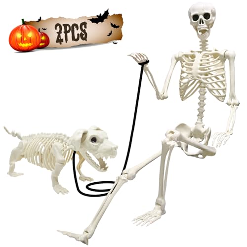 UMEELR 5.9FT Poseable Life Size Skeleton for Halloween Decoration B873000