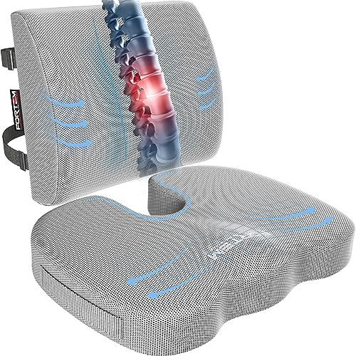 FORTEM Office Chair Cushion and Back Support, Memory Foam Lumbar Pillow, Non Slip, XL V440