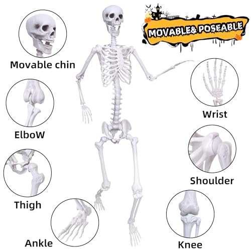 Wocst 6Ft Life Size Posable Skeleton with Movable Joints for Halloween Decor Y682720
