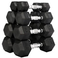 Rubber Coated Hex Dumbbell Weight Set R443