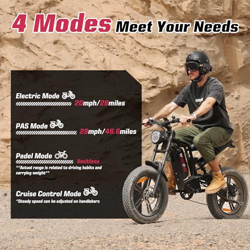 E2/K20 Electric Bike for Adults, 48V 13Ah/15Ah, 750/1000W Peak, 20"/26" Fat Tires Z839544