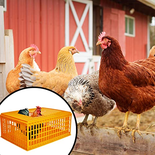 Plastic Poultry Carrier Crate for Chicken Transport, Heavy Duty, 29.5 x 21.7 x 13 Inch W3140