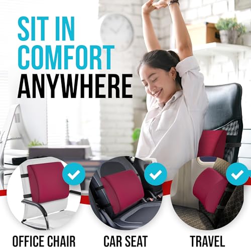 FORTEM Office Chair Cushion and Back Support, Memory Foam Lumbar Pillow, Non Slip, XL V440