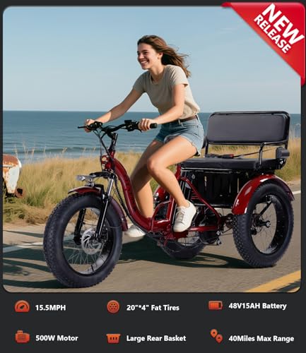 Adult Electric Tricycle 3 Wheel Bike for Adults A10327