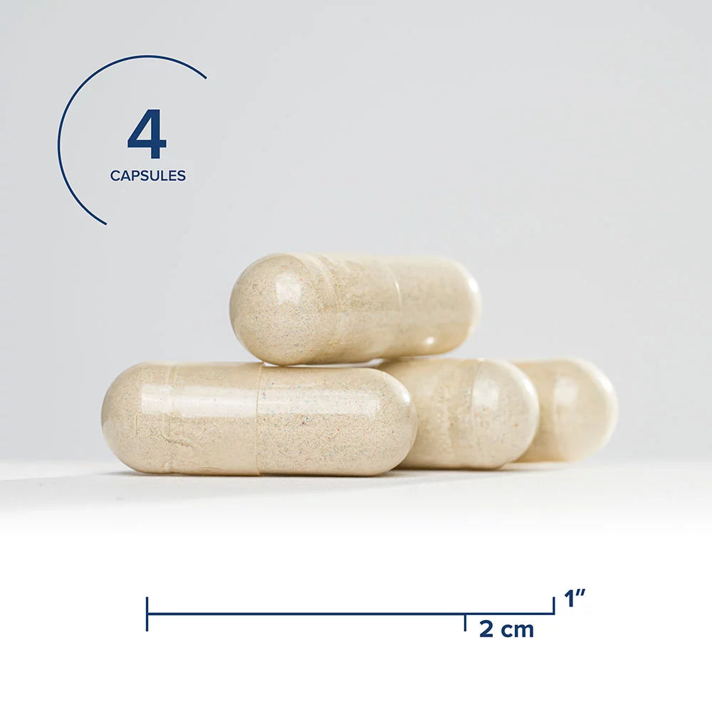 Seeking Health Multivitamin with Iron, Active B Vitamins, Vegetarian Capsules H48497