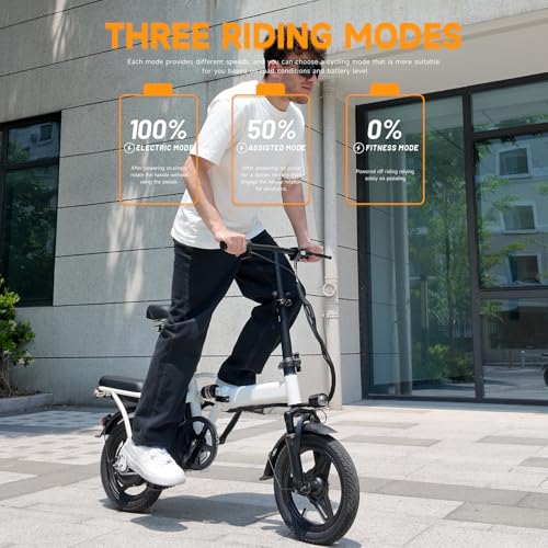 Folding Electric Bike for Adults with Removable Battery P213045
