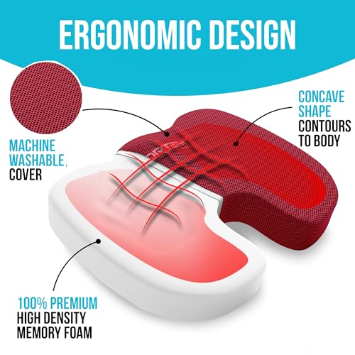 FORTEM Office Chair Cushion and Back Support, Memory Foam Lumbar Pillow, Non Slip, XL V440