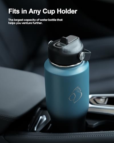 BUZIO 40oz Insulated Tumbler with Handle and Straw Lid, Black M702
