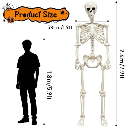 UMEELR 5.9FT Poseable Life Size Skeleton for Halloween Decoration B873000