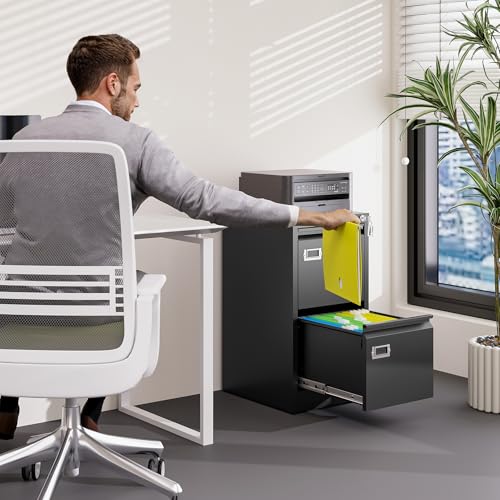 2 Drawer Vertical File Cabinet with Lock for Letter Size, Steel Office Storage Y50014