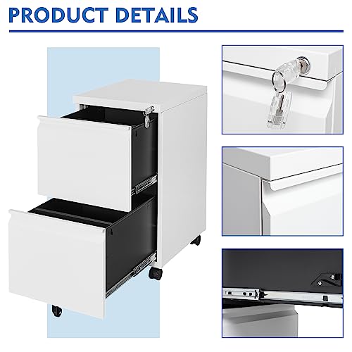2 Drawer Vertical File Cabinet with Lock for Letter Size, Steel Office Storage Y50014