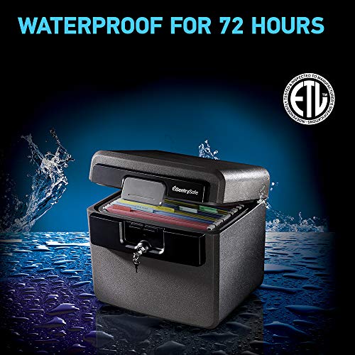 SentrySafe Black Fireproof Waterproof Safe with Key Lock, HD4100 L8676