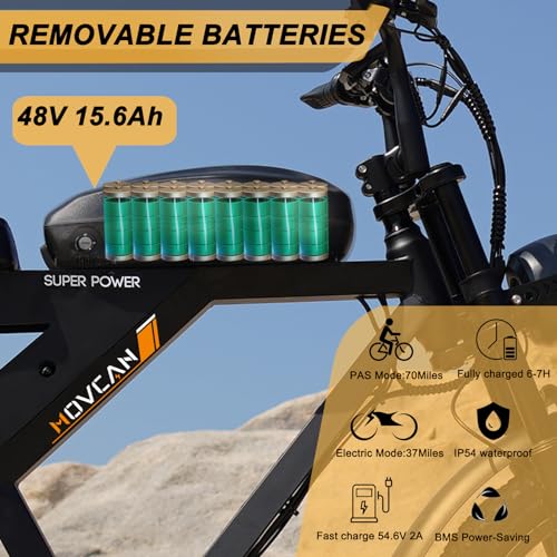MOVCAN V30 Series Electric Bike for Adults 20" Fat Tire Ebike N31922