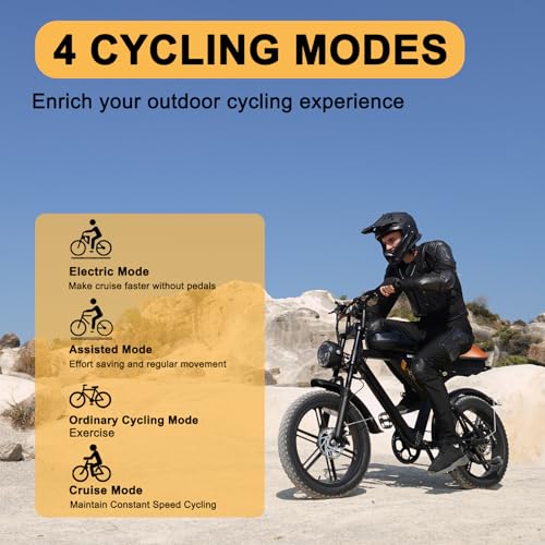 MOVCAN V30 Series Electric Bike for Adults 20" Fat Tire Ebike N31922