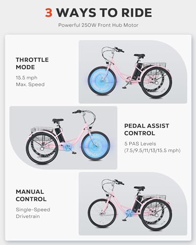 Viribus Electric Tricycle for Adults, 250W Motor, 468Wh Removable Battery, 24 in Rosy I34229