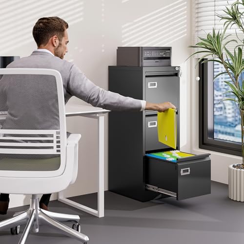 2 Drawer Vertical File Cabinet with Lock for Letter Size, Steel Office Storage Y50014