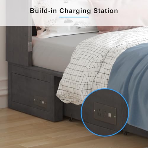 PUREMIND Queen Murphy Bed Cabinet with 2 Storage Drawers and USB Charging Station R5817