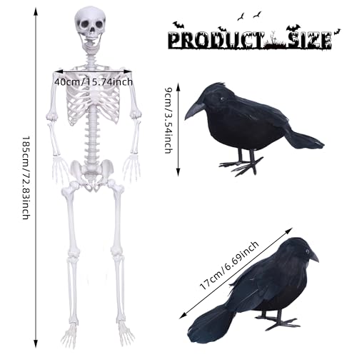 Wocst 6Ft Life Size Posable Skeleton with Movable Joints for Halloween Decor Y682720