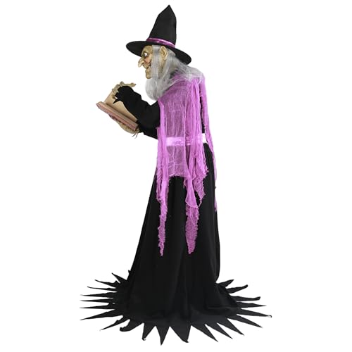 COLLECTIVE HOME 6-Ft. Witch Halloween Animatronic with Motion-Activated Sound N392300