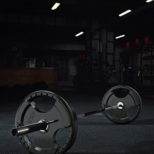RitFit Olympic Rubber Grip Plates 2-Inch for Barbell Weightlifting Strength Training Z70542