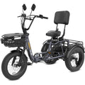 Folding Electric Tricycle for Adults, 1200W, 450lbs Load, UL Certified N810