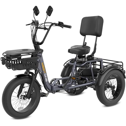 Folding Electric Tricycle for Adults, 1200W, 450lbs Load, UL Certified N810
