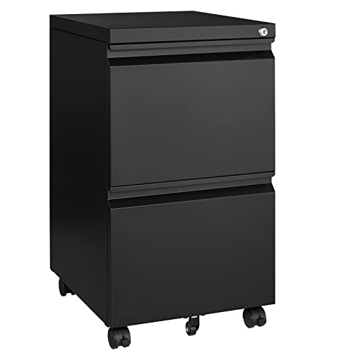 2 Drawer Vertical File Cabinet with Lock for Letter Size, Steel Office Storage Y50014