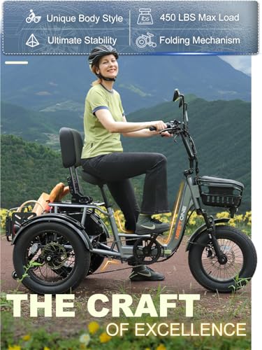 Breeze Folding Electric Tricycle for Adults, 1000W, Fat Tire, 450lbs Load I237900