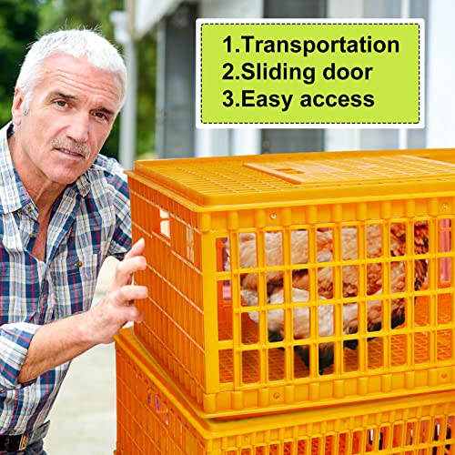 Plastic Poultry Carrier Crate for Chicken Transport, Heavy Duty, 29.5 x 21.7 x 13 Inch W3140