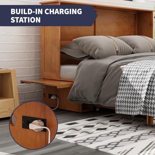 Queen Size Murphy Bed with Storage Drawer and USB Charging Station, Gray L928