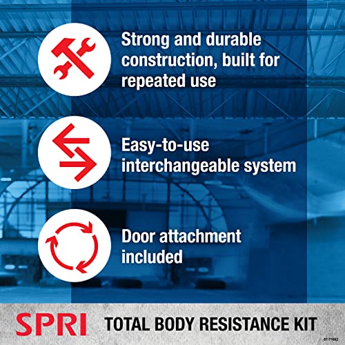 SPRI Resistance Band Kit with Interchangeable Tubes, Padded Handles, Door Anchor and Carry Bag G6755