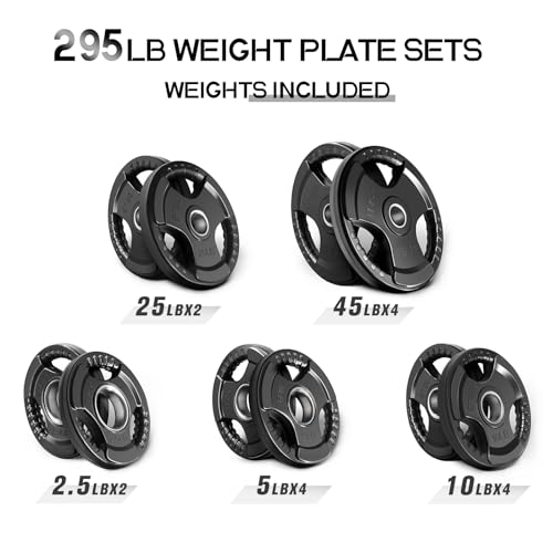 RitFit Olympic Rubber Grip Plates 2-Inch for Barbell Weightlifting Strength Training Z70542