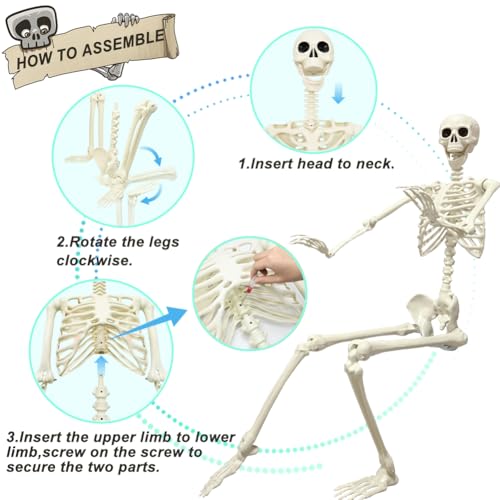 UMEELR 5.9FT Poseable Life Size Skeleton for Halloween Decoration B873000