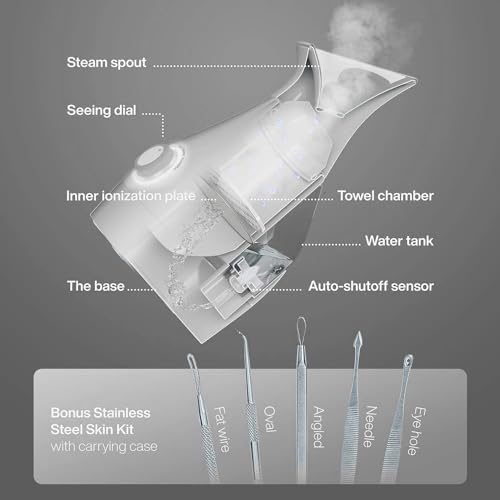 Pure Daily Care NanoSteamer Large 3-in-1 Nano Ionic Facial Steamer with Temp Control, Teal B192