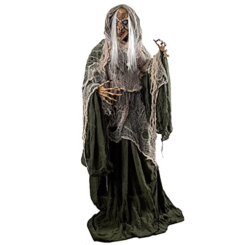 JOYIN 65" Halloween Animatronics Ghost Decor with Sound for Outdoor T10357