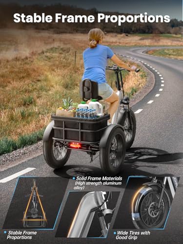 Electric Trike for Adult with 750W Motor, 48V Battery, 20" Fat Tire Y5910